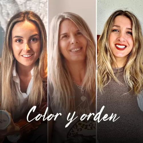 Live: Color y orden